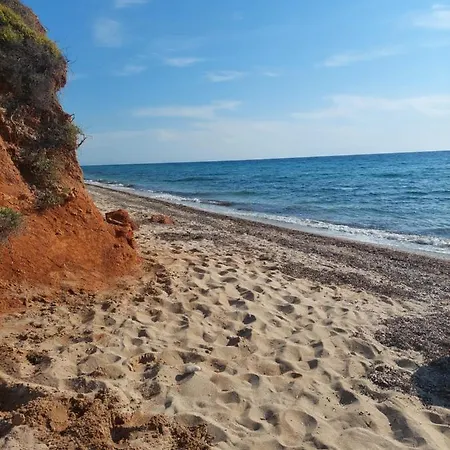 Tasos *